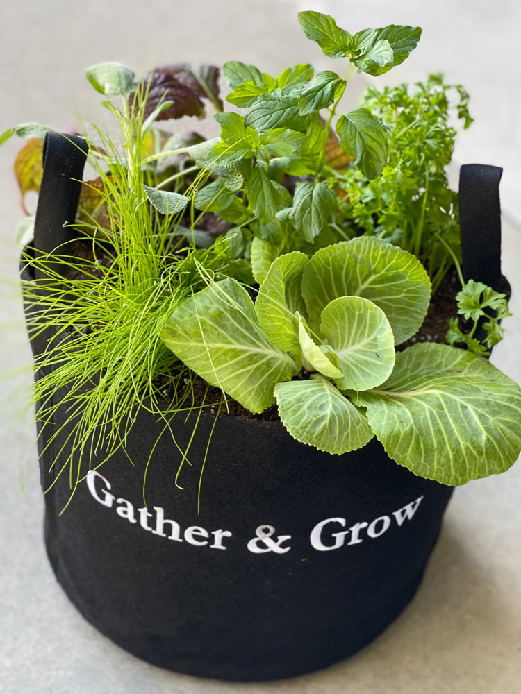 Gather & Grow Giftable Garden