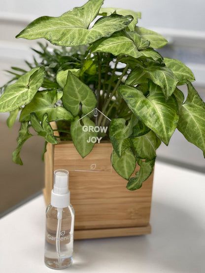 Root Rage™ Tropical Serum ‎Monthly Plant Nutrients