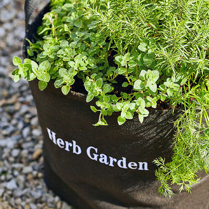 Herb Giftable Garden