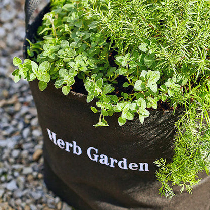 herb plant pots outdoor Outdoor Herb Garden Kit