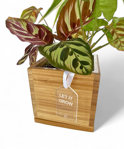 Acrylic Gift Tag