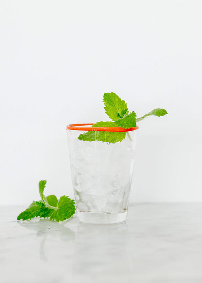 Cocktail Herb Garden Plant Collection