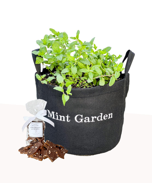 Mint Garden Gift Set‎ with mint chocolate pecan toffee image