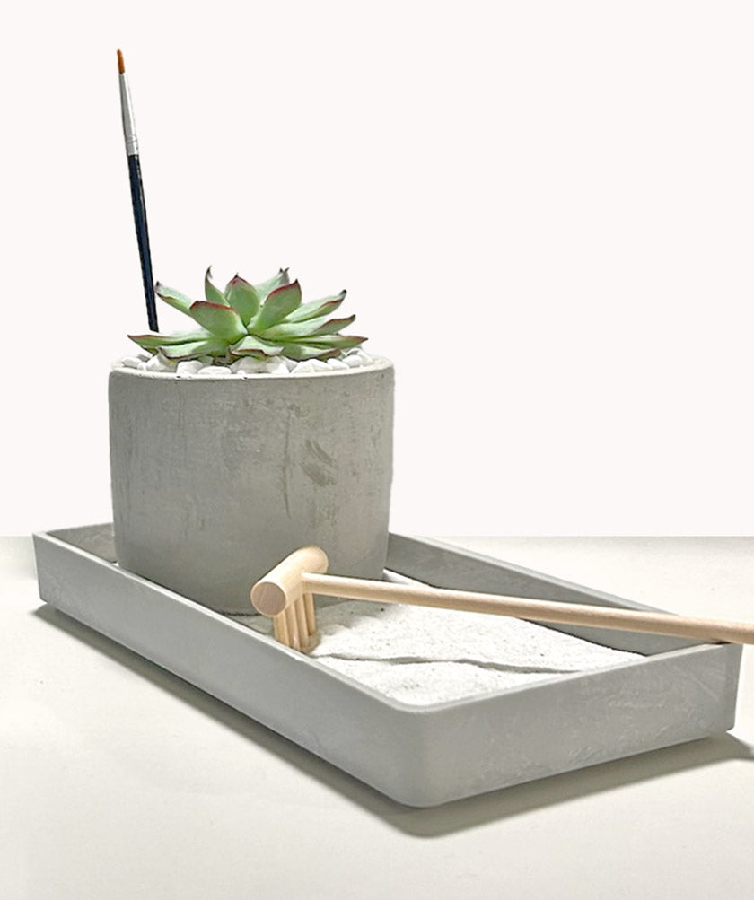 Modern Zen Succulent Desktop Garden