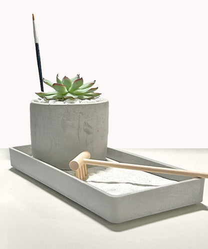 Modern Zen Succulent Desktop Garden