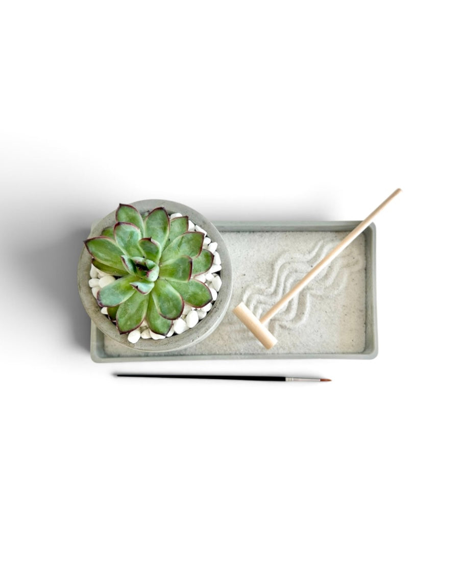 Modern Zen Succulent Desktop Garden