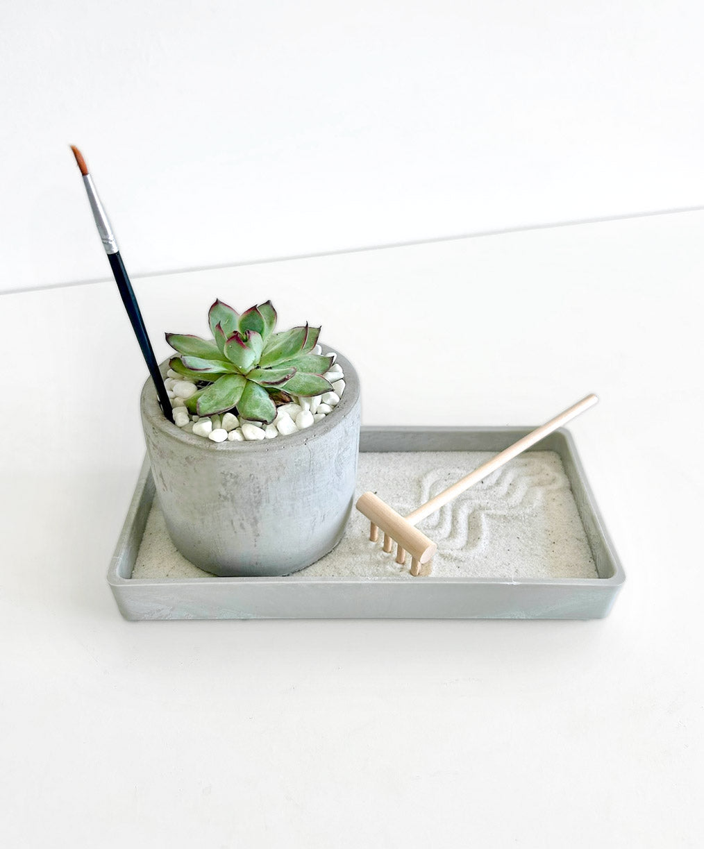 Modern Zen Succulent Desktop Garden
