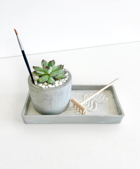 Modern Zen Succulent Desktop Garden image