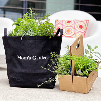 Mom's Garden Kit‎ with seasonal herbs