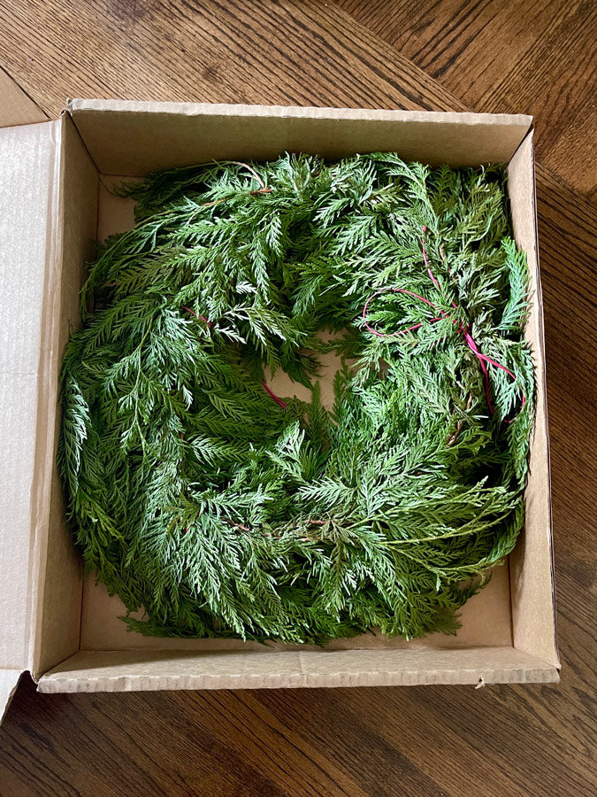 Real Noble Fir Holiday Wreath, 24"