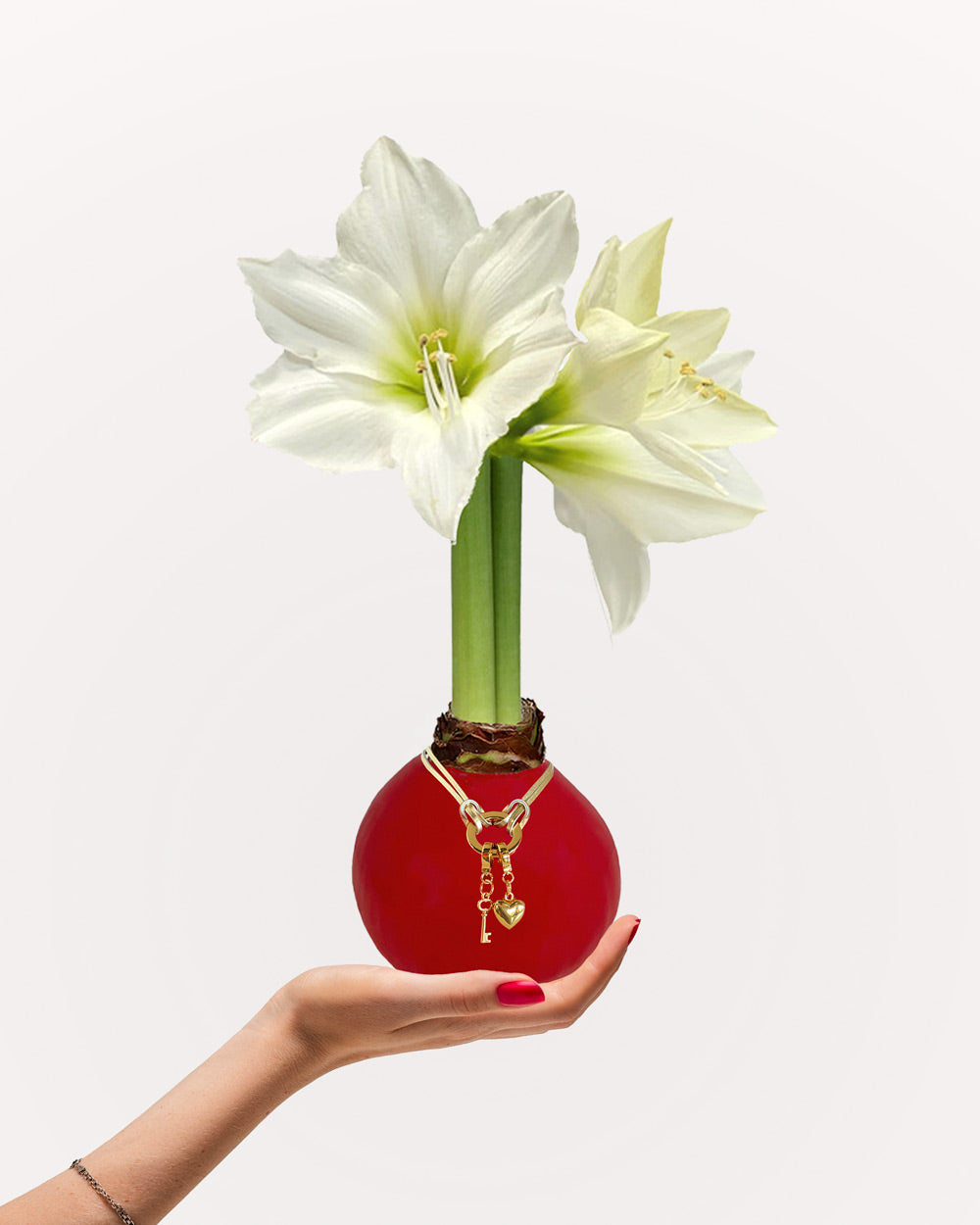 Valentine Red Waxed Bulb & Charm Bracelet Gift Set‎