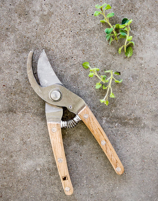 Patio to Table Pruners‎ for trimming + pruning