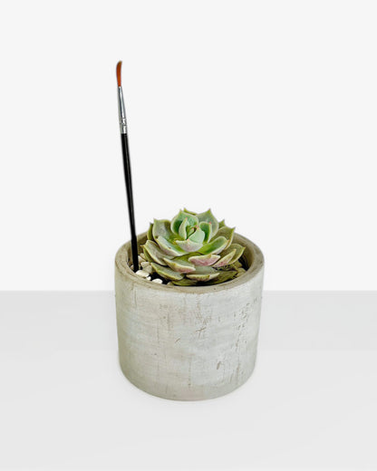 Rose Succulent Desktop Plant