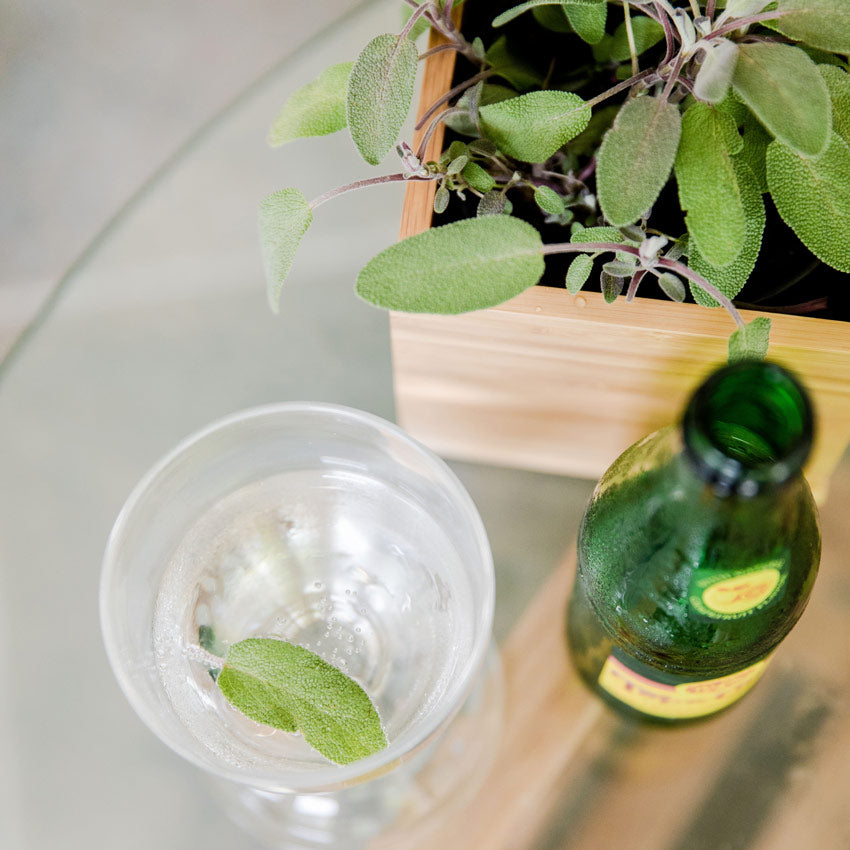 Cocktail Herb Garden Plant Collection