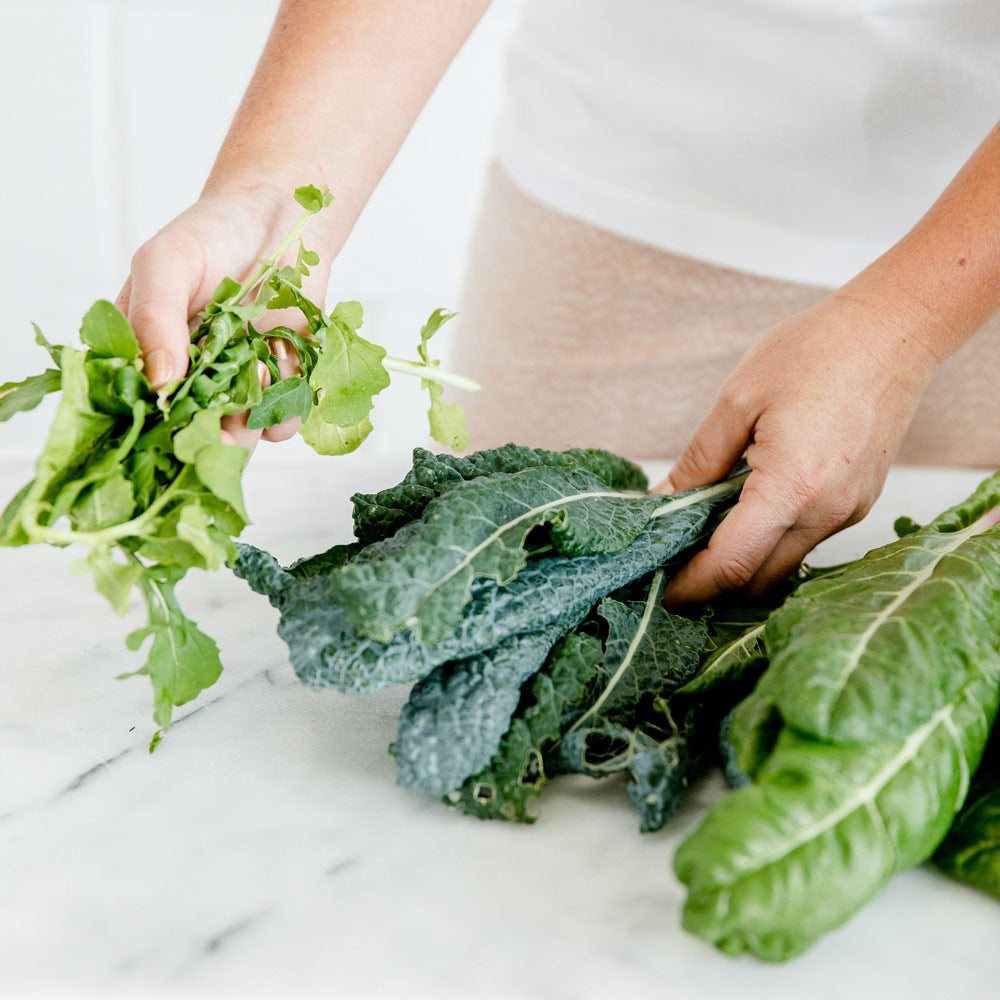 Salad Garden Plant Collection