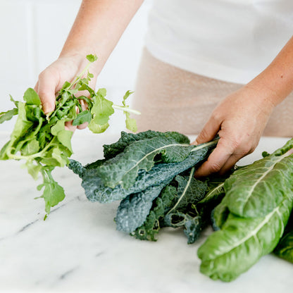 Salad Garden Plant Collection