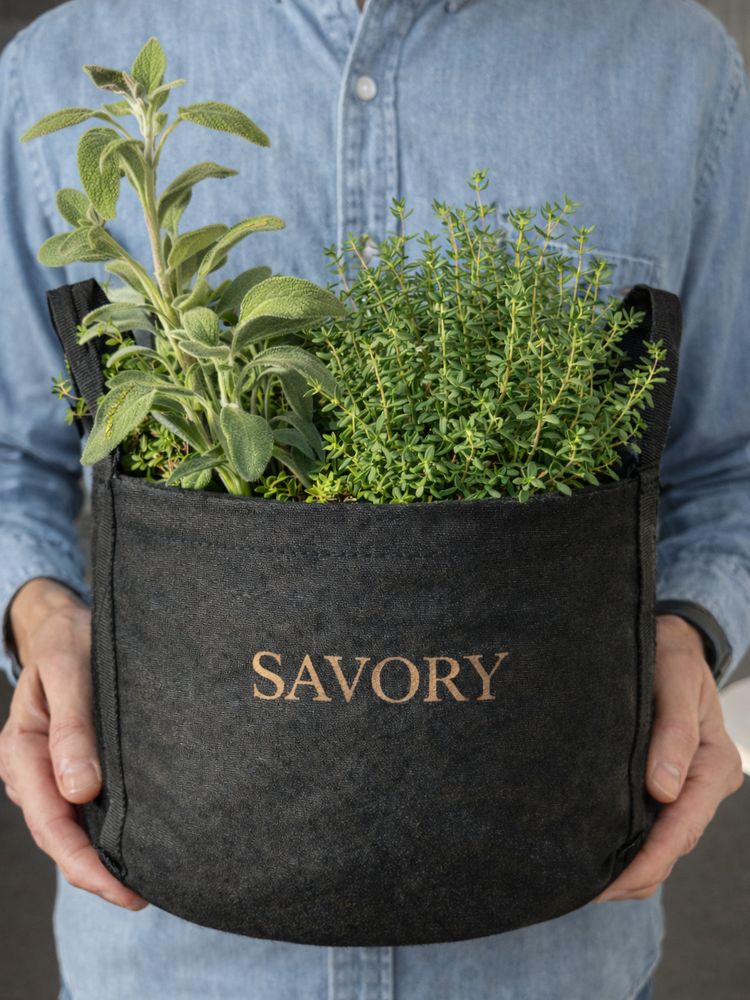 Savory Mini Patio Garden Kit