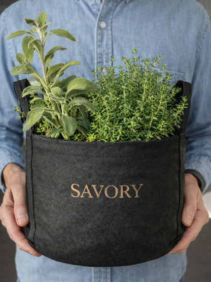 Savory Mini Patio Garden Kit
