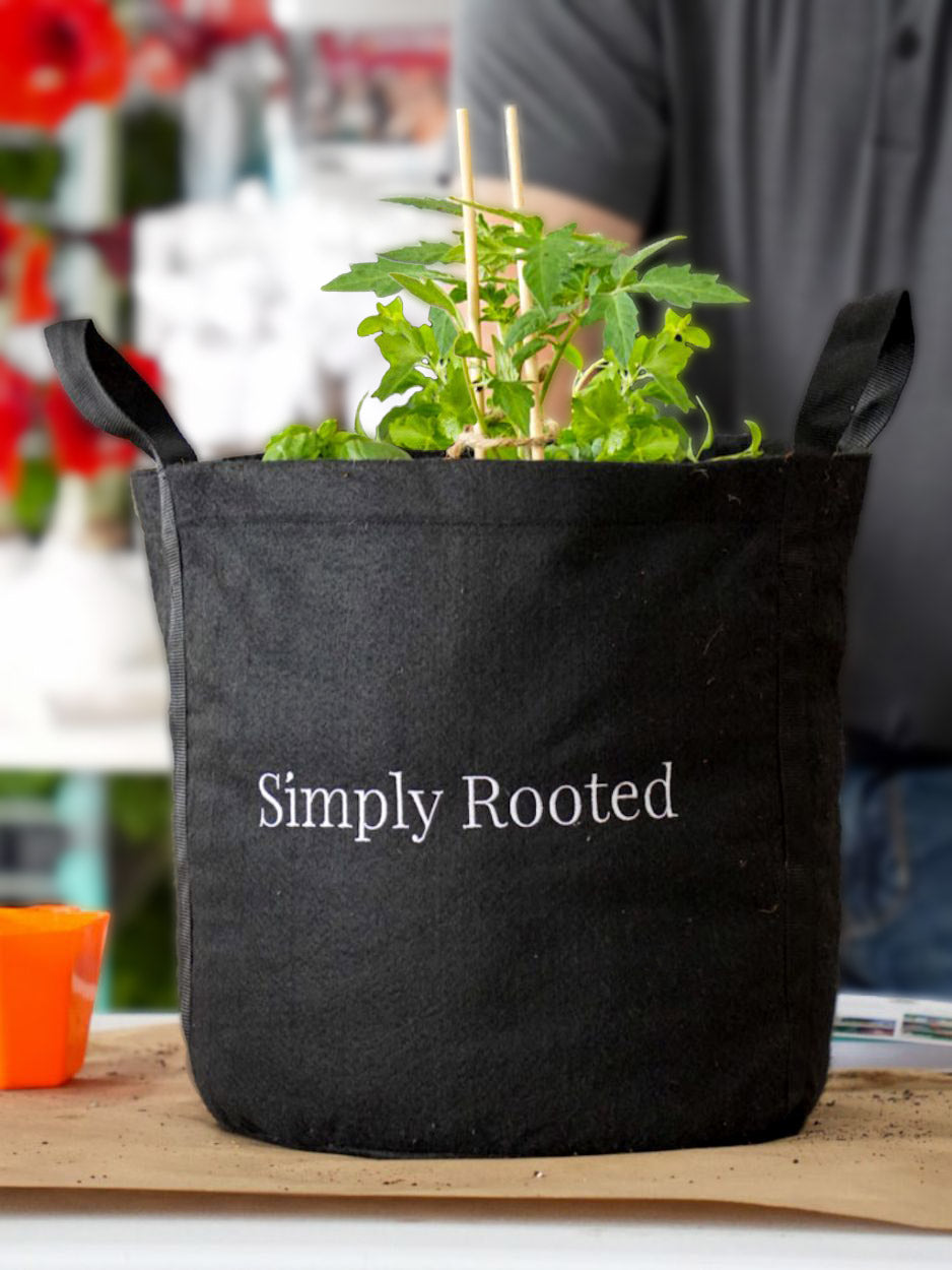 Simply Rooted Simply Rooted Garden Kit with seasonal vegetable and culinary herbs ...