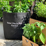 Some Like It Hot Garden Kit with pepper plants & seasonal herbs