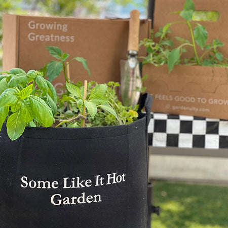 Some Like It Hot Garden Kit‎ with pepper + herb plants