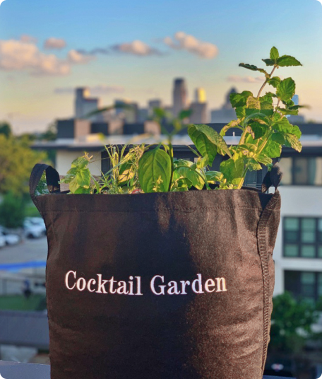 Cocktail garden image