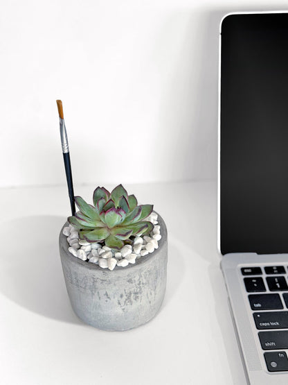 Mini Mod Succulent Desktop Plant Collection