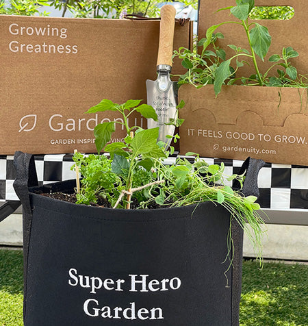 Super Hero Garden Kit with pepper & herb plants