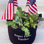 Super Hero Garden Kit with pepper & herb plants
