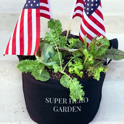Super Hero Giftable Garden