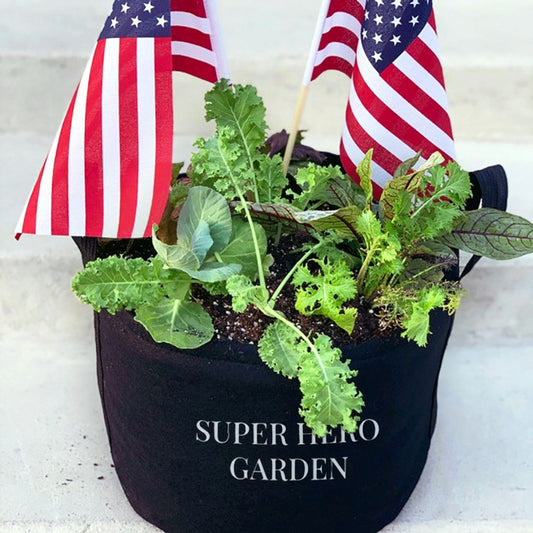 Super Hero Giftable Garden image