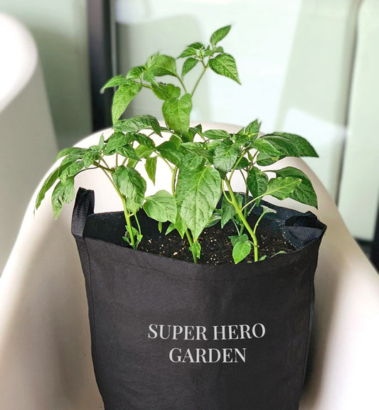 Super Hero Garden Kit‎ with pepper + herb plants image