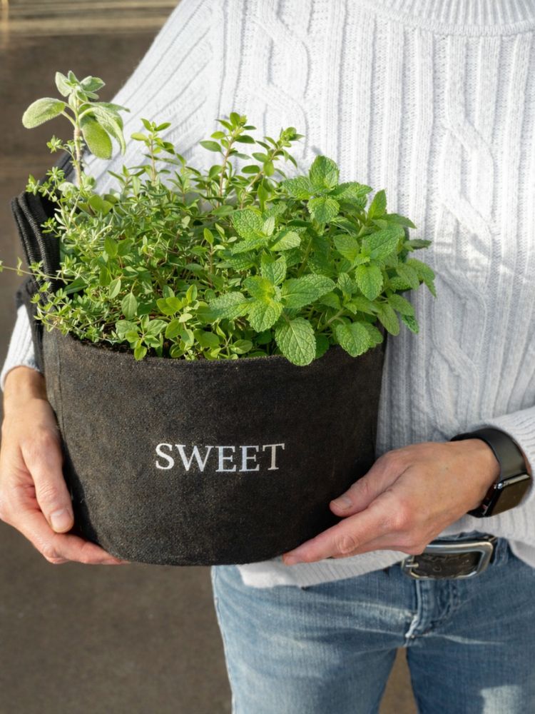 Sweet Mini Patio Garden Kit