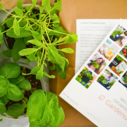 Well Bloomed Garden Kit‎ with edible flowers + herb plants