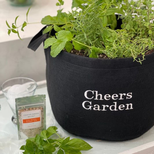 Giftable Cheers Herb Garden Set with Cocktail Garden Sea Salt