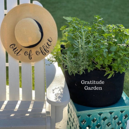Gratitude Garden Kit‎ with seasonal herbs