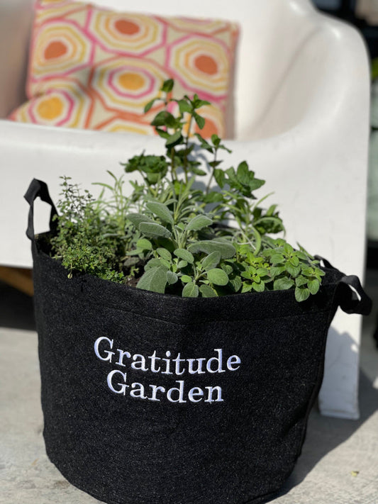 Giftable Gratitude Garden Kit