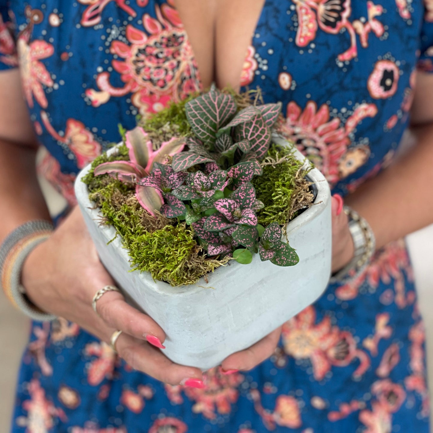 Pink Tropical Desktop Garden