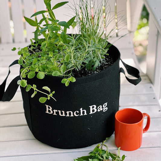 Brunch Bag Garden Kit with seasonal herb plants