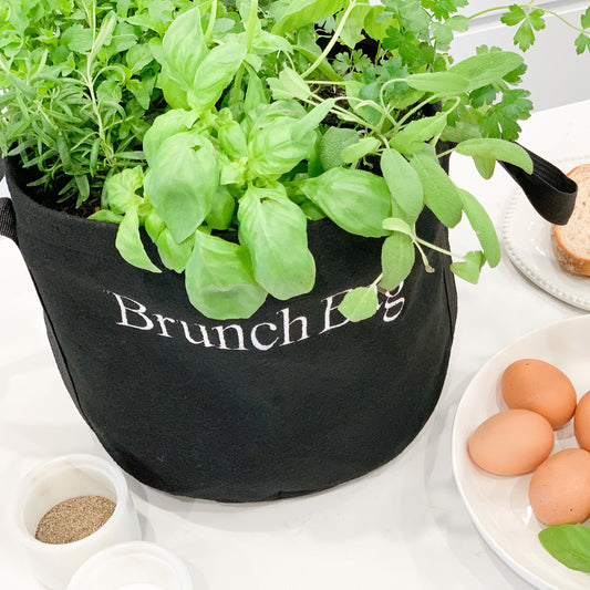 Brunch Bag Garden Kit with Herb Plants - Goody