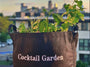 Cocktail Garden Kit with seasonal herbs