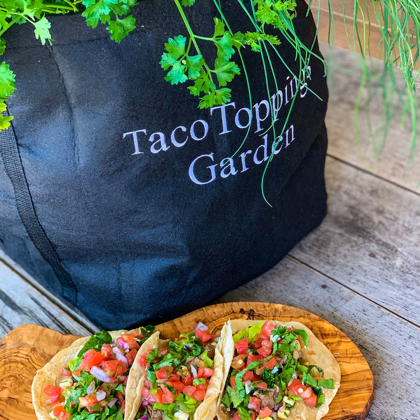 Taco Toppings Garden Kit‎ with peppers + seasonal herbs
