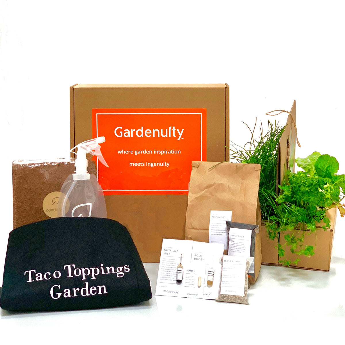 Taco Toppings Garden Kit with tomato plant & herbs