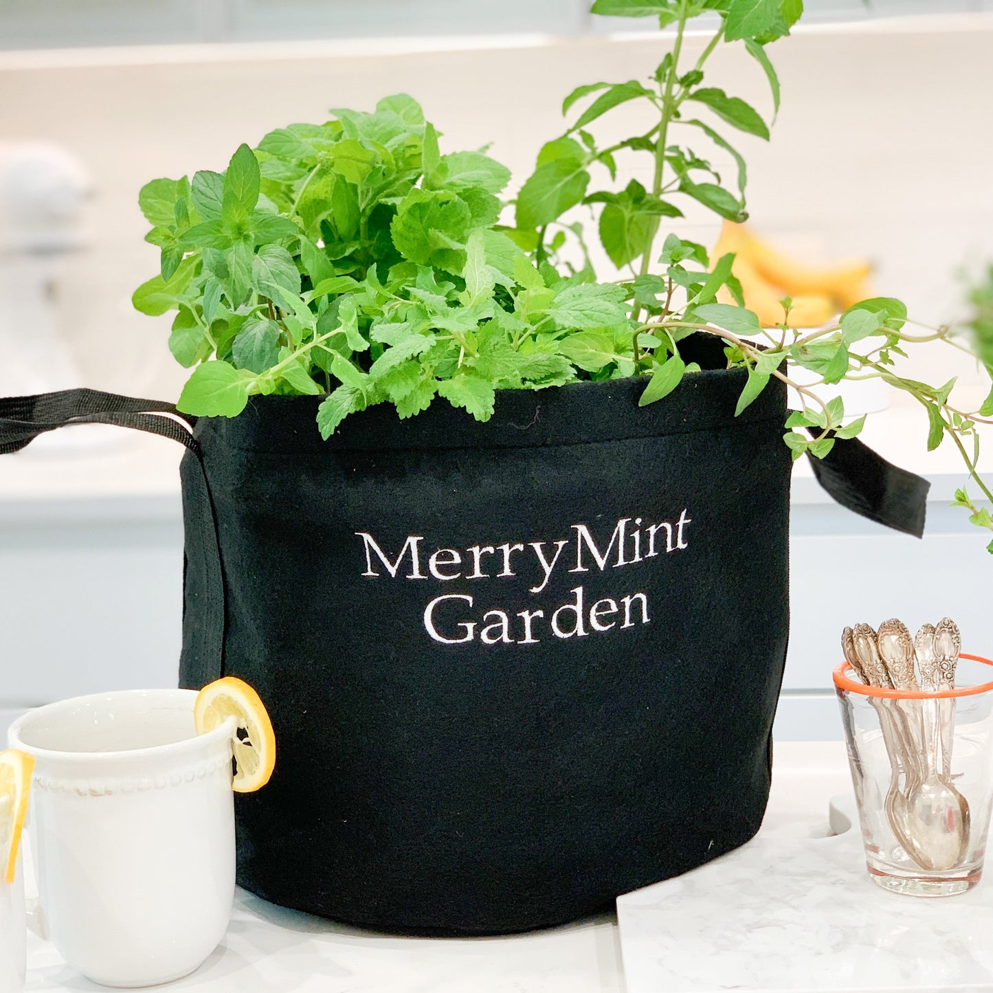 Giftable Merry Mint Garden
