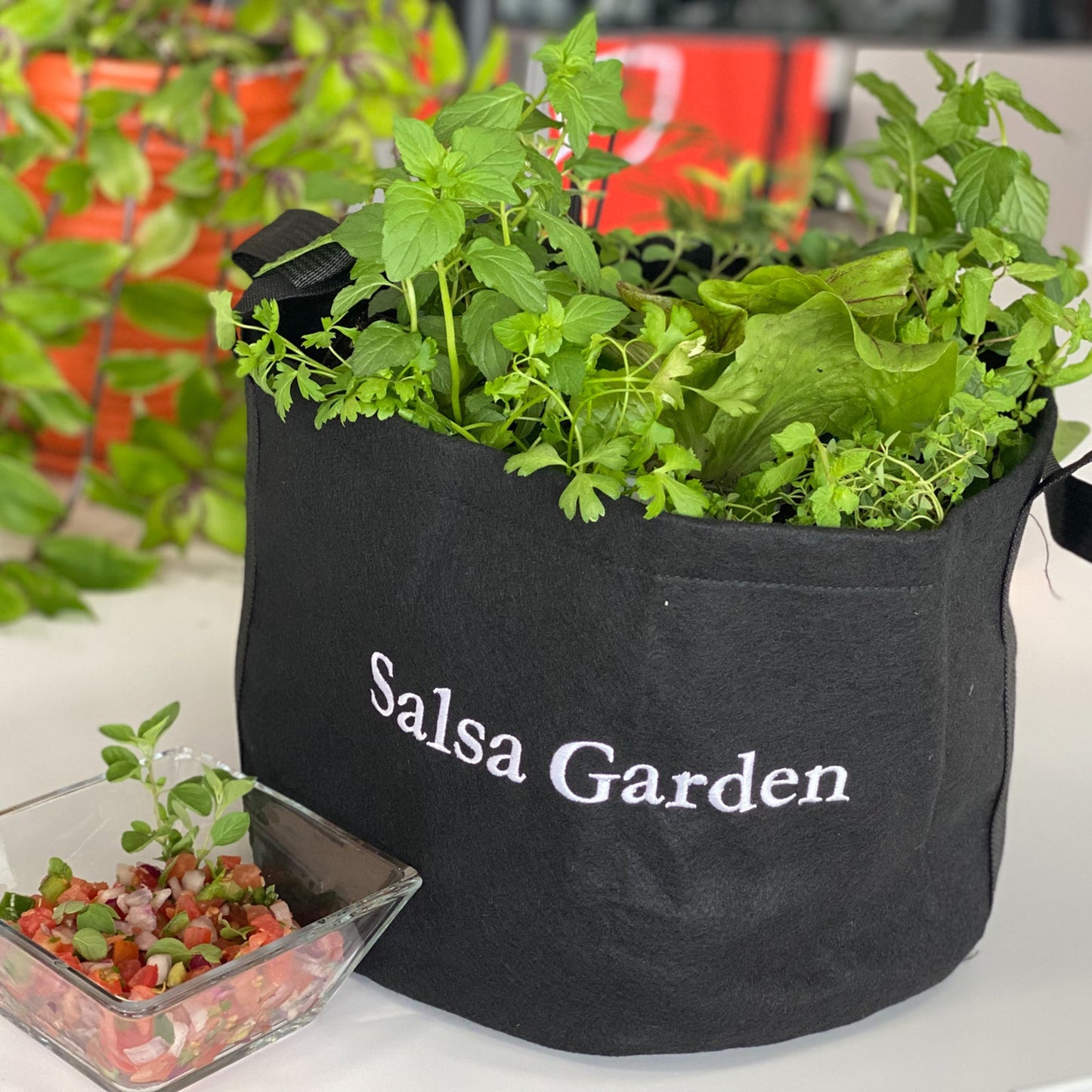 Giftable Salsa Garden