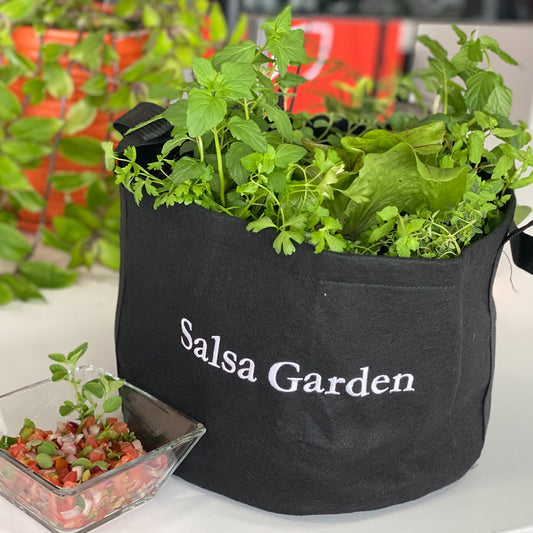 Salsa Garden Kit with pepper & tomato plants