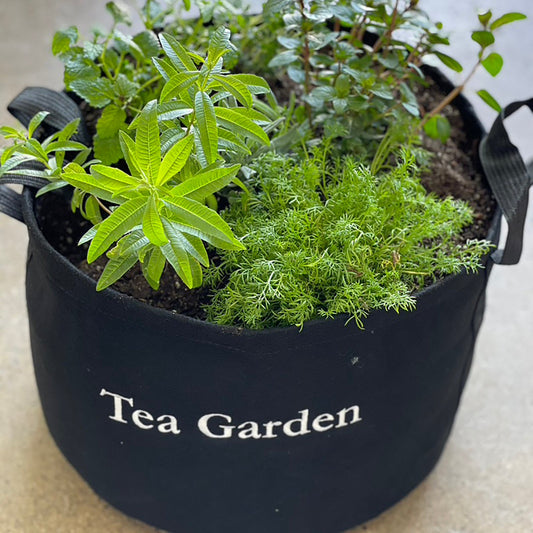 Giftable Tea Garden