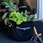 Homegrown Garden Kit with leafy green plants & tools