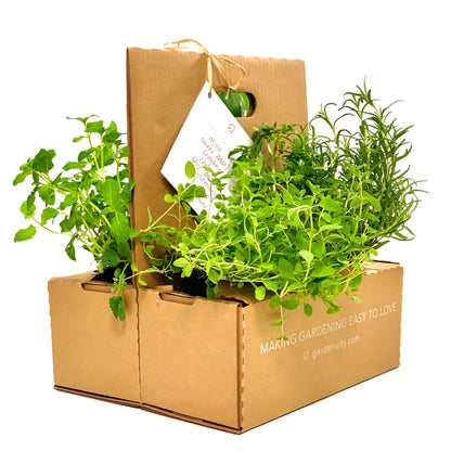 Next Season Garden Refresh Kit‎ with seasonal plants