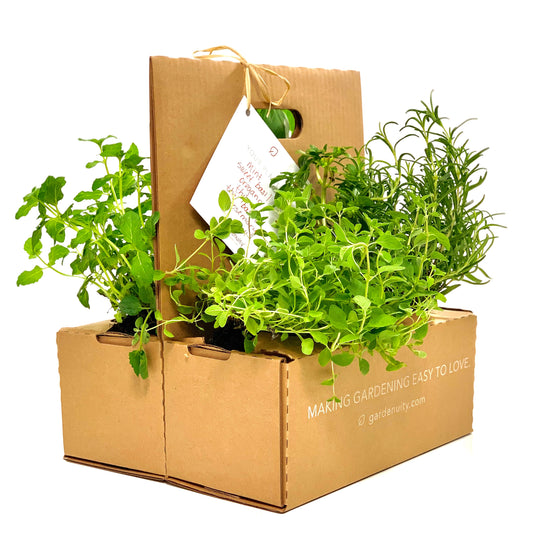 Next Season Garden Refresh Kit with seasonal plants